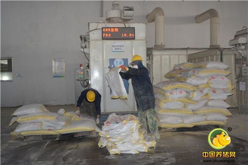 标杆工厂，再创辉煌 浙江播恩预混料与教槽料产销量破10000吨庆典隆重举行